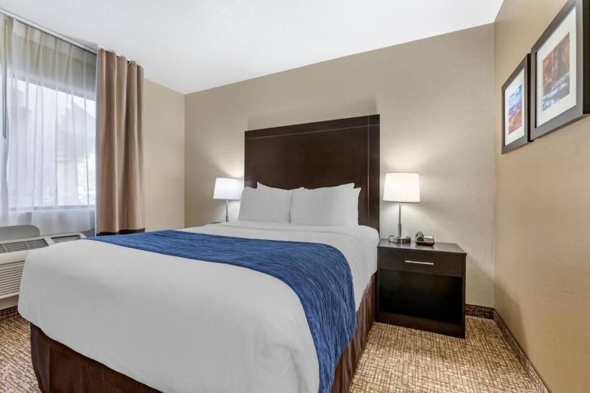 Una habitación de hotel con cama, lámparas de noche, mesita de noche, ventana con cortinas y un cuadro colgado en la pared.