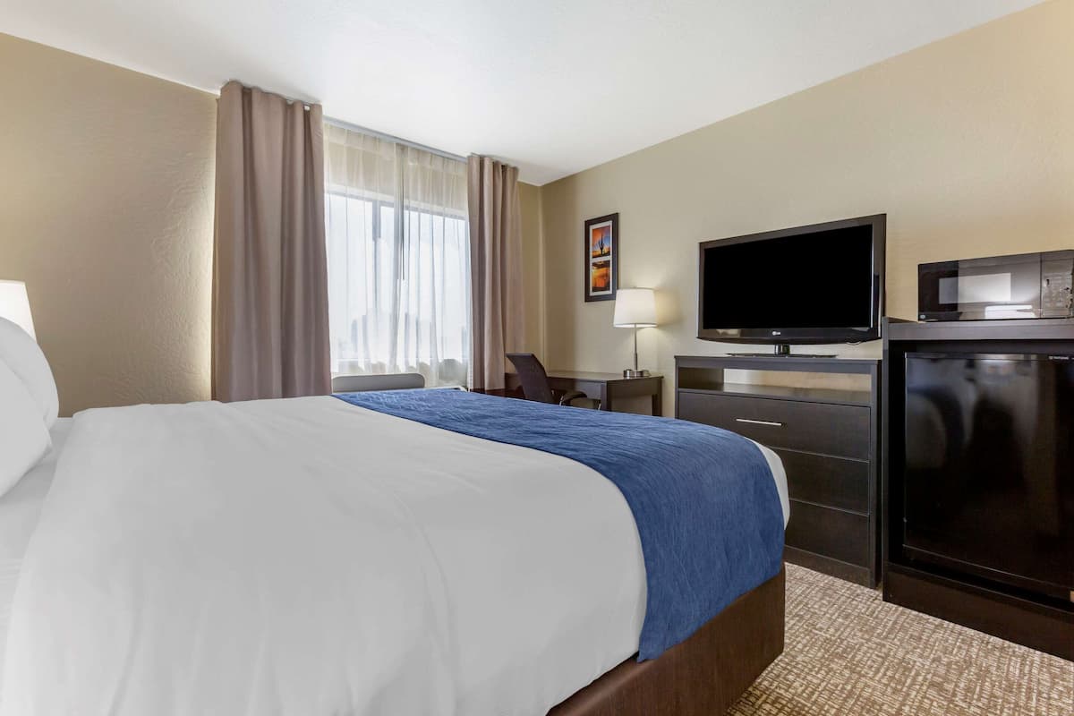 1 habitación y ropa de cama de alta calidad