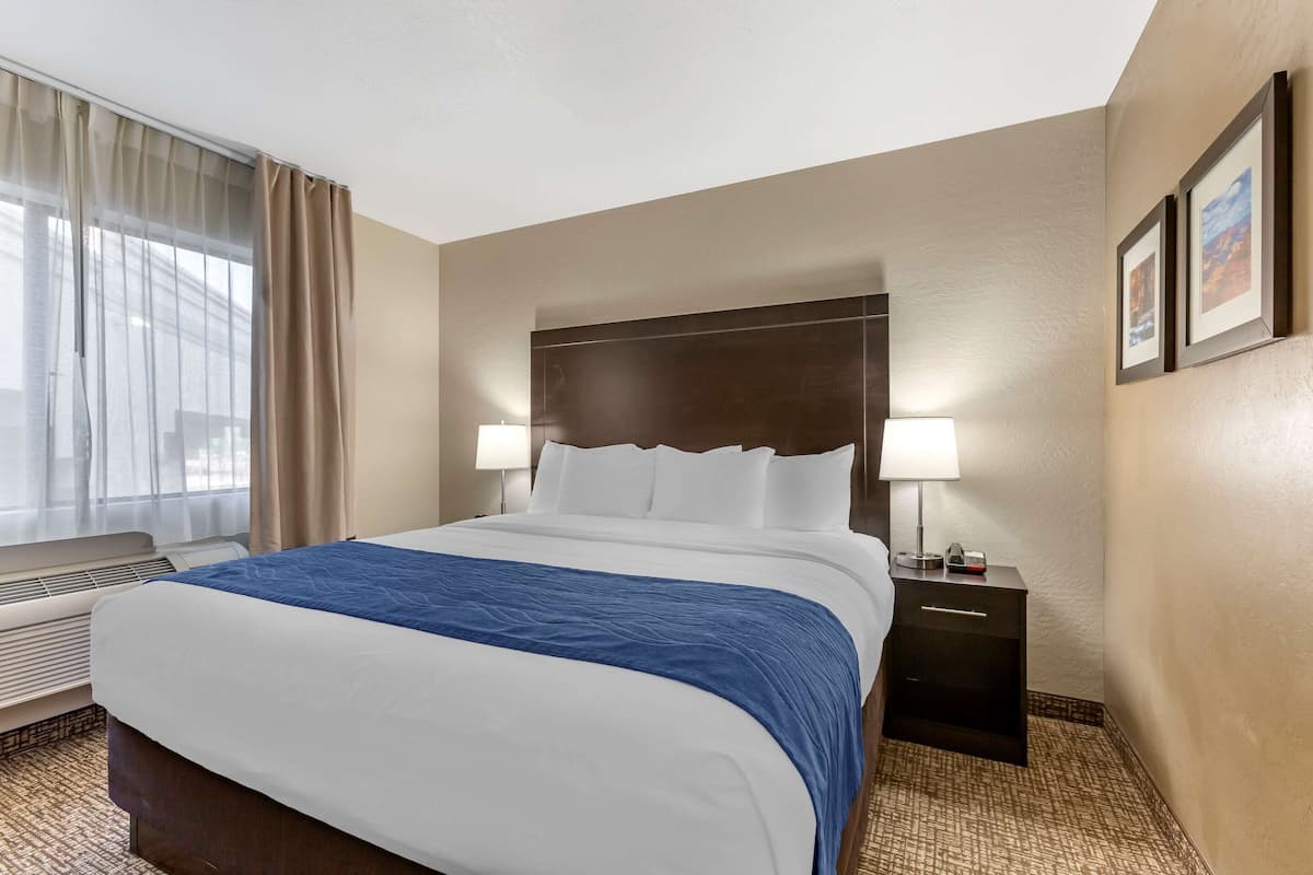 1 habitación y ropa de cama de alta calidad