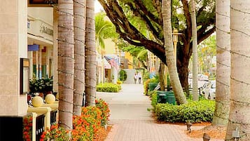 A pathway lined with palm trees and a brick walkway.