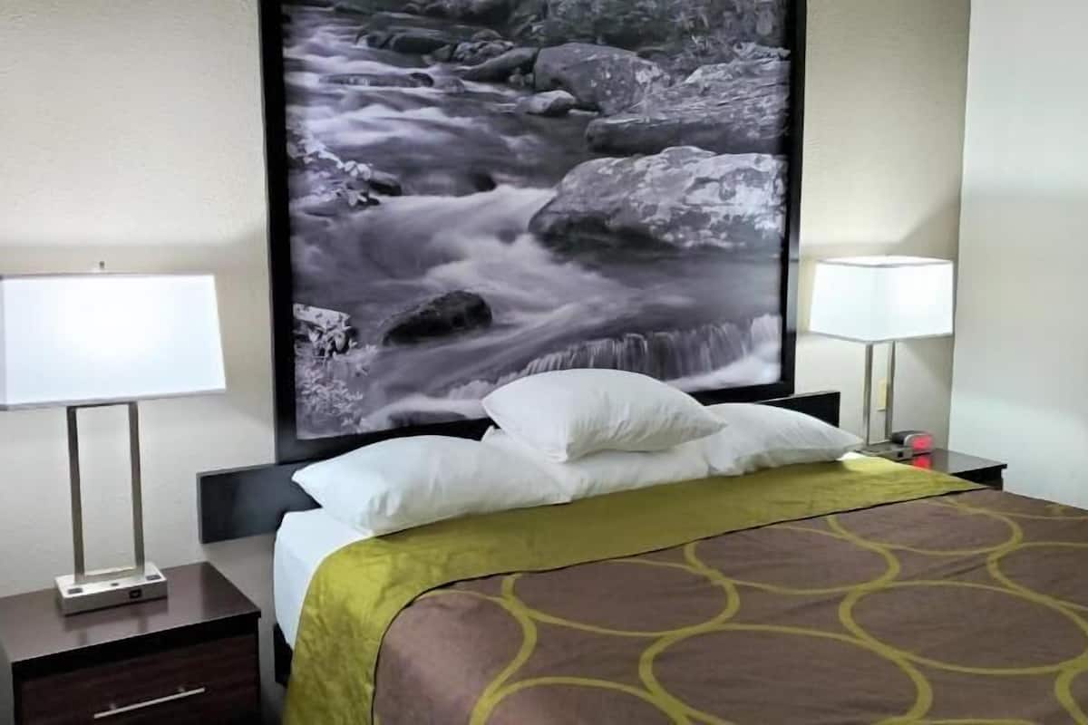 Ein Hotelzimmer mit einem Bett, zwei Nachttischlampen, einem großen gerahmten Bild von einem Fluss und einem Nachttisch mit Lampe.