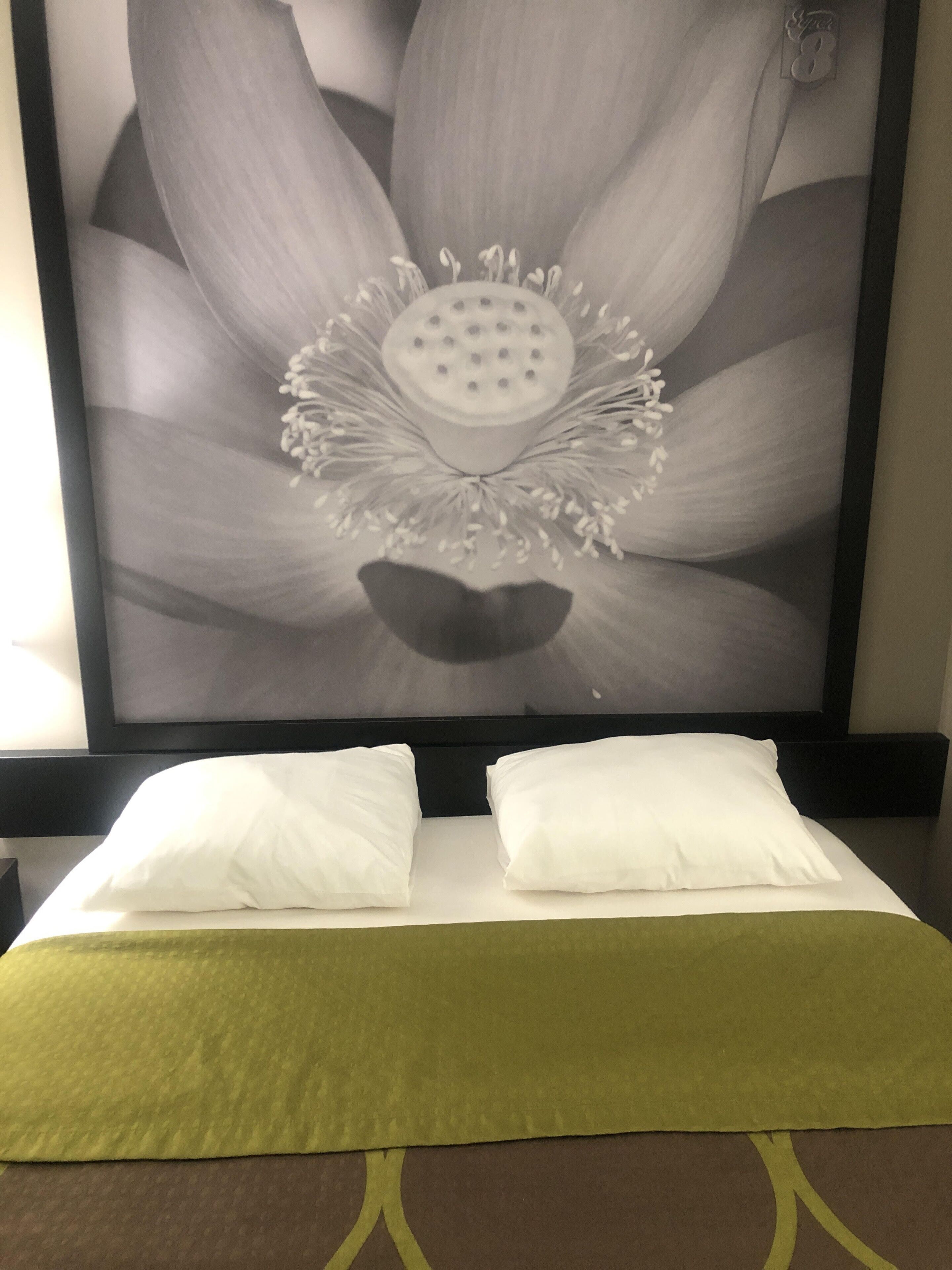 room, 1 queen bed, non smoking (cruise) | blackout curtains, iron/ironing board, free wifi, bed sheets