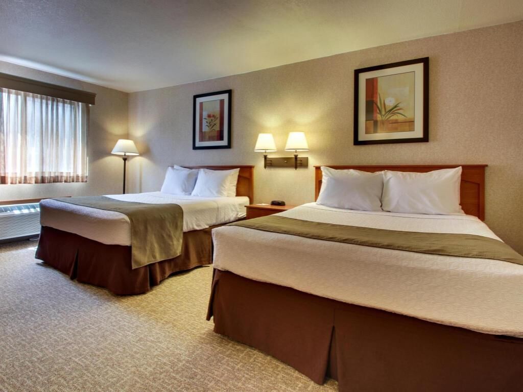 Blackout drapes, iron/ironing board, free cribs/infant beds