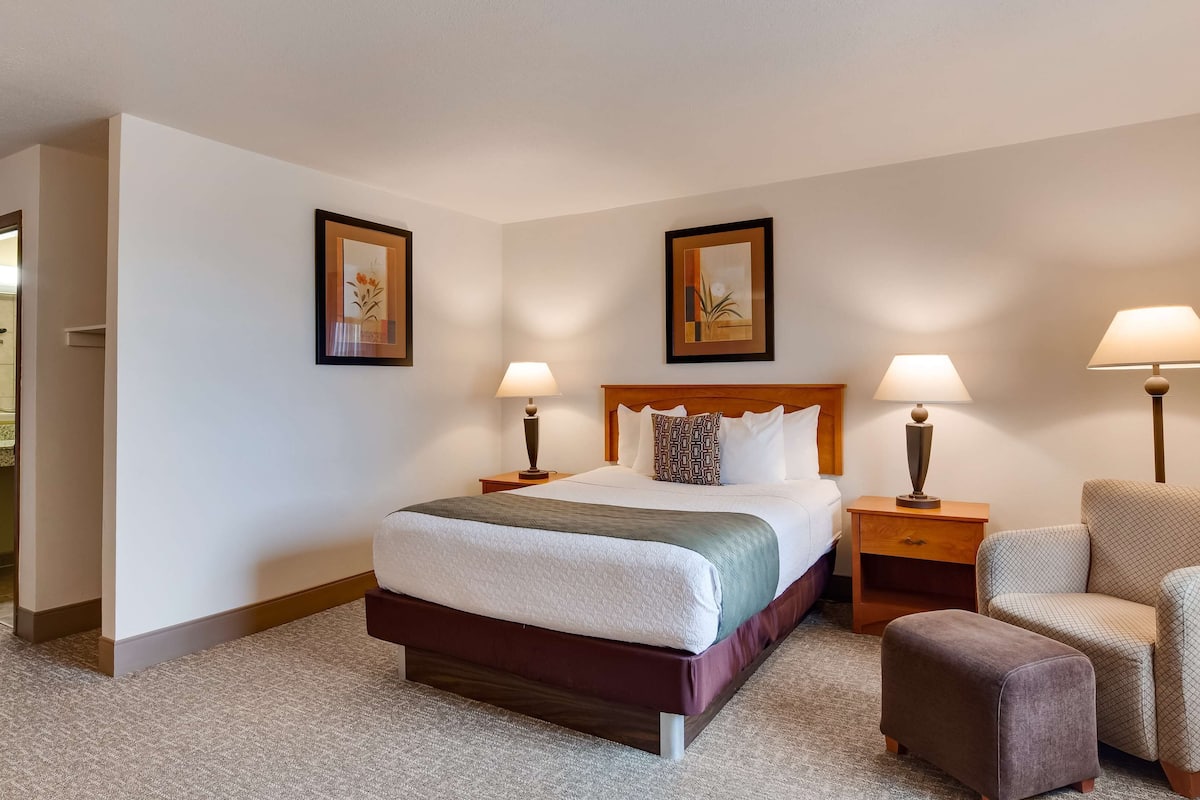 blackout curtains, iron/ironing board, free cots/infant beds