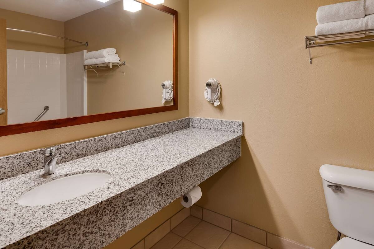 combined shower/bathtub, free toiletries, hair dryer, towels