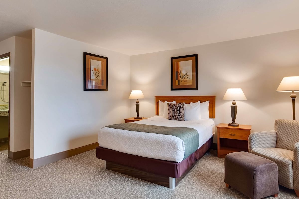 Rideaux occultants, fer et planche à repasser, lits bébé (gratuits)