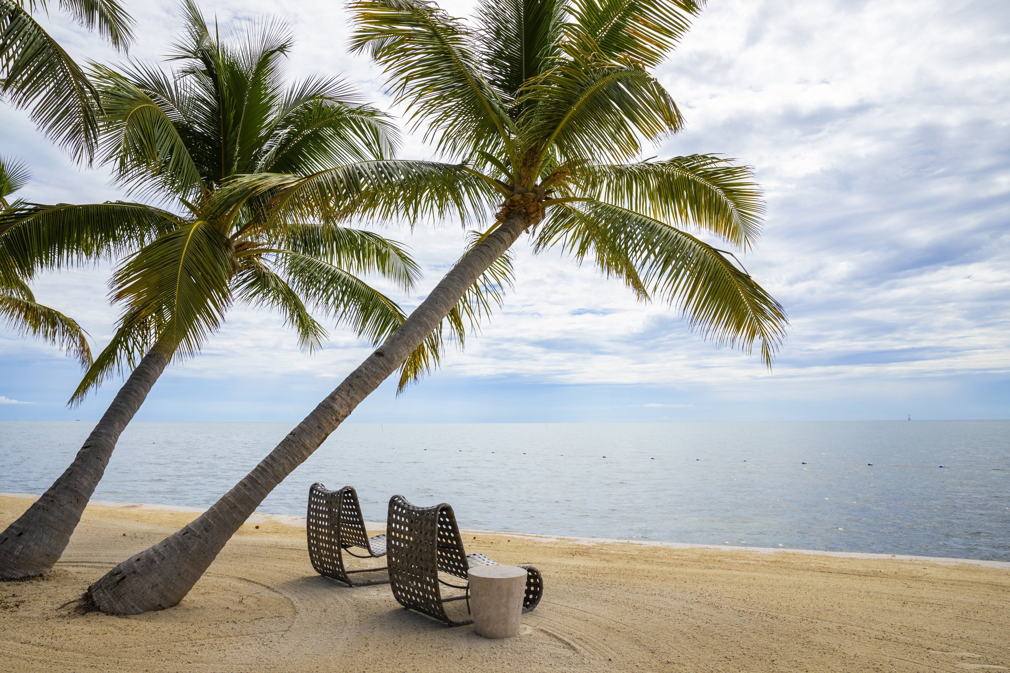 A beach with two palm trees and two wicker chairs facing the ocean.