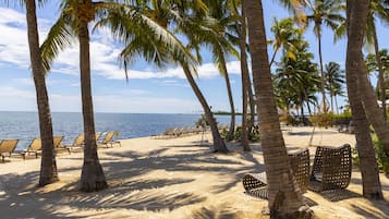 Une plage bordée de palmiers, avec des chaises longues et une vue dégagée sur l’océan.
