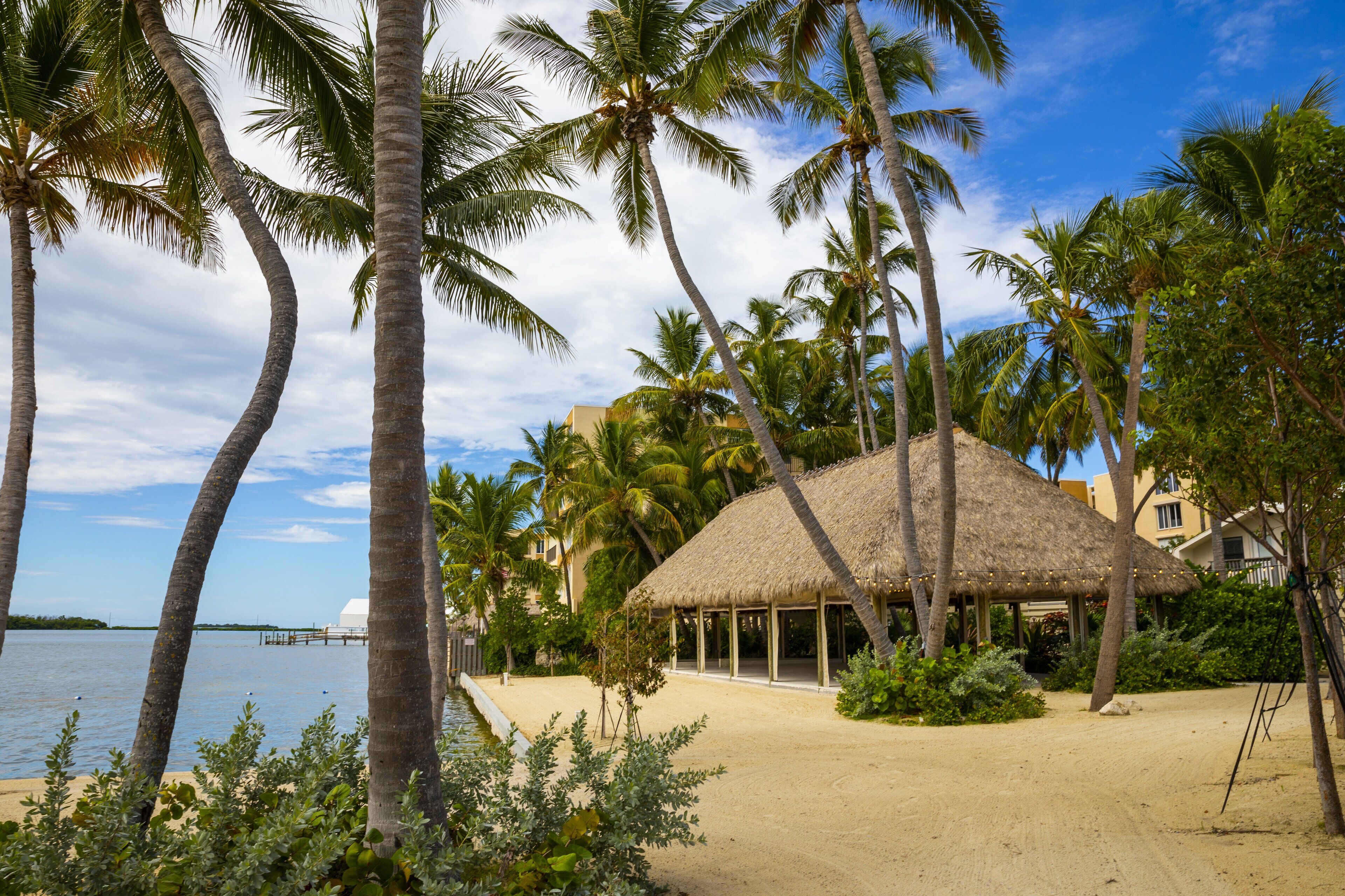 A beach with palm trees, a thatched-roof structure, and a body of water.