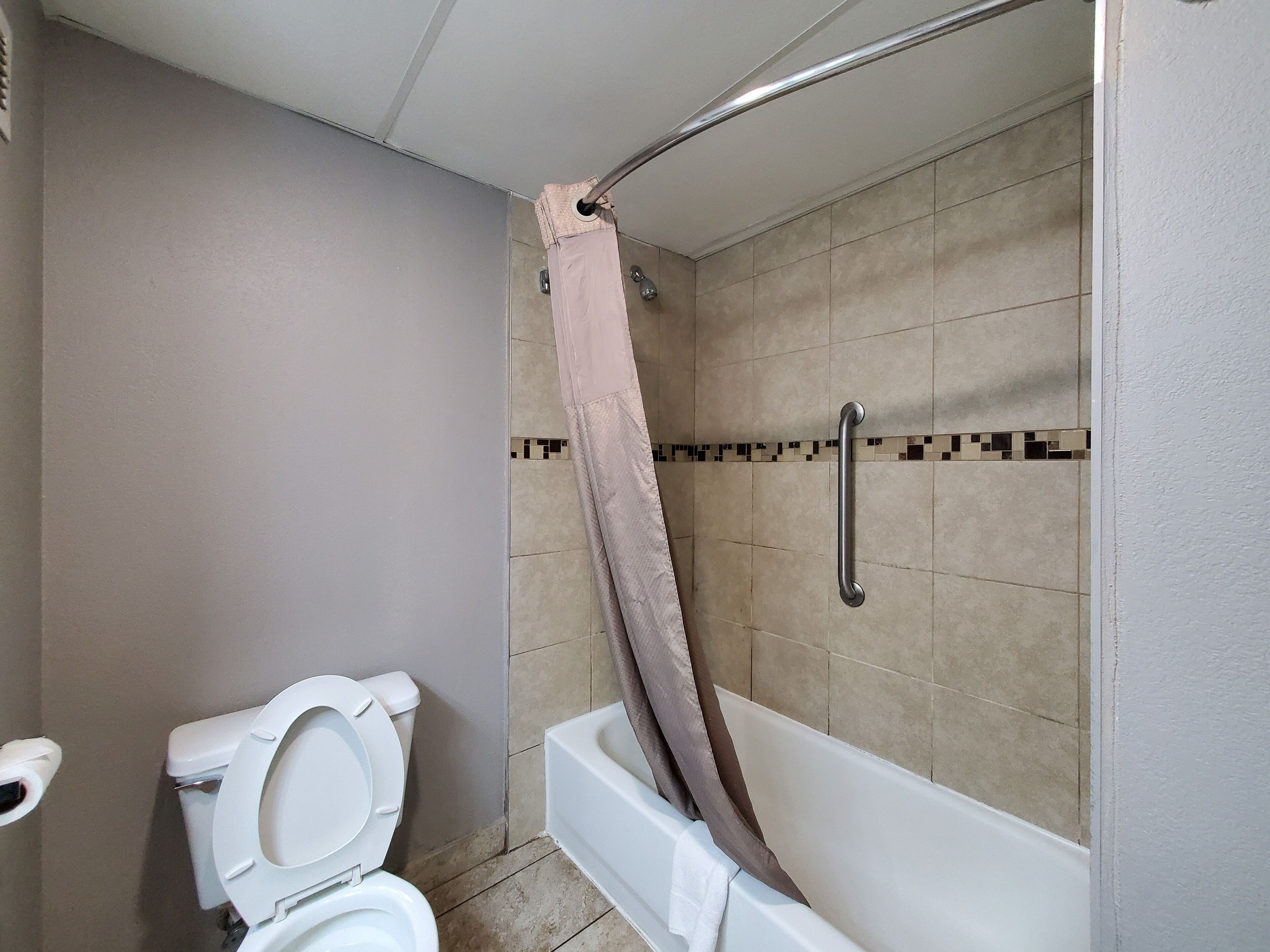 Un bagno con il water, una doccia dotata di maniglione e una vasca da bagno.