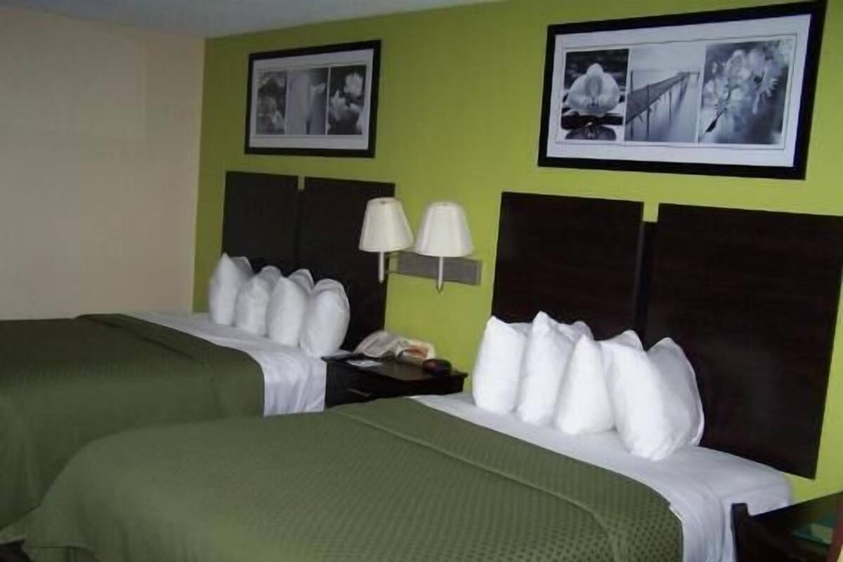 ستائر تعتيم ومكواة/لوح كي وأسرّة قابلة للطي وواي فاي مجانًا