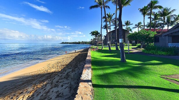 A beach with a grassy area, palm trees, and a building in the background.