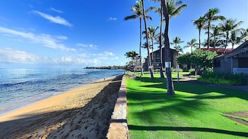 Surfing/boogie boarding