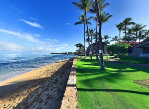 A beach with a grassy area, palm trees, and a building in the background.
