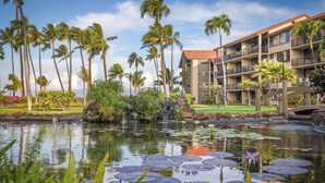 A hotel with a pool surrounded by palm trees and a small waterfall.
