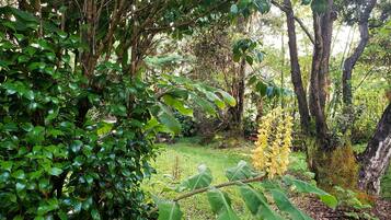 Eenvoudige kamer | Kameruitzicht