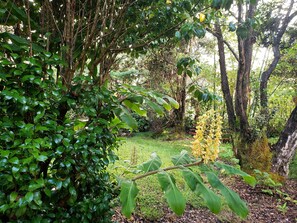 Basic-Zimmer | Ausblick vom Zimmer