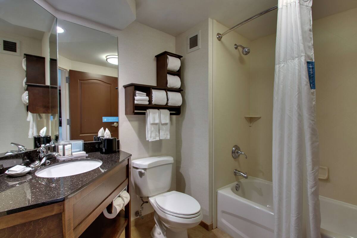 combined shower/bathtub, free toiletries, hair dryer, towels