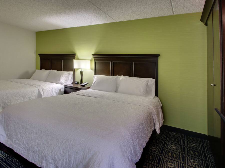 A hotel room with two beds, a nightstand with a lamp, and a green wall.