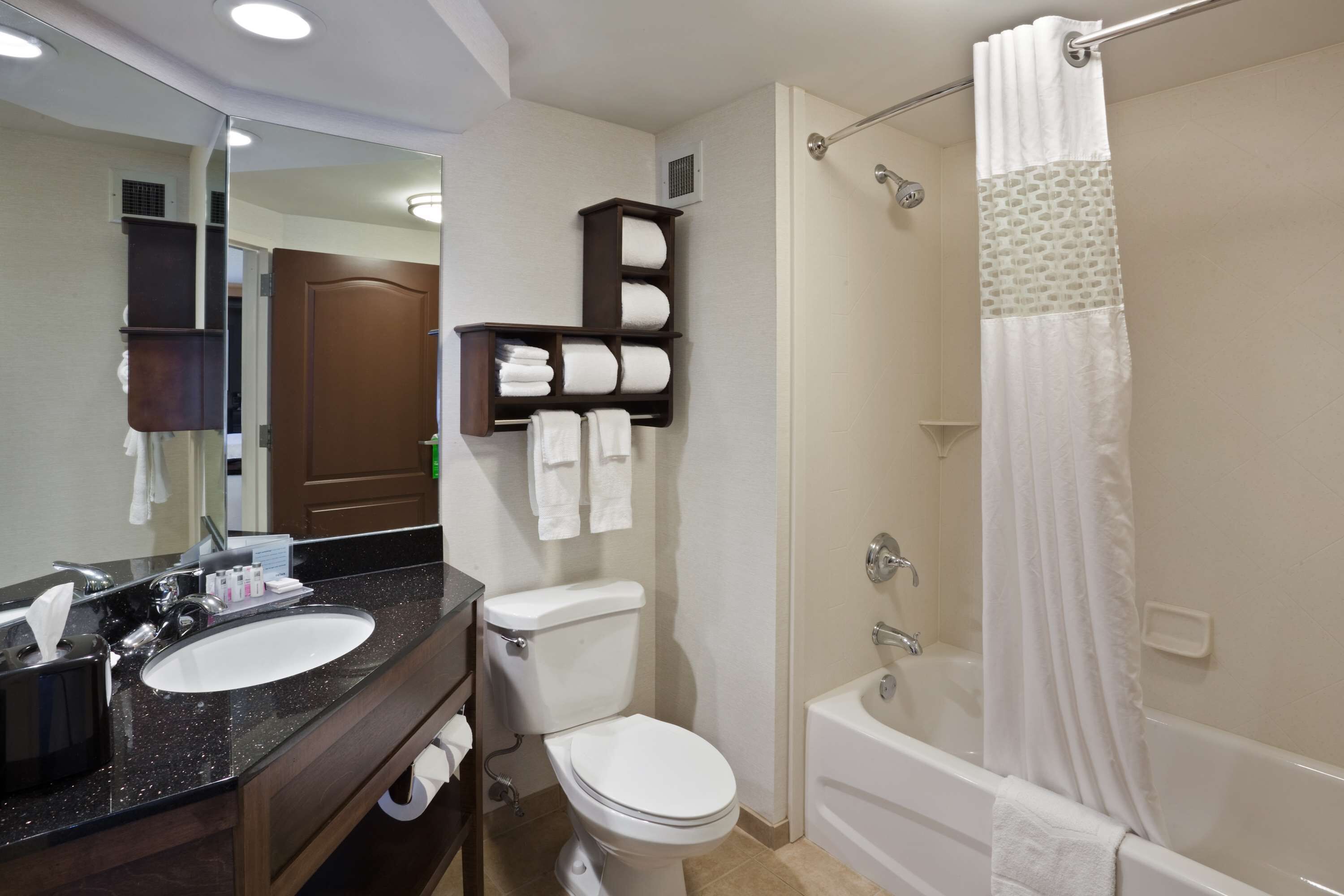 combined shower/bathtub, free toiletries, hair dryer, towels