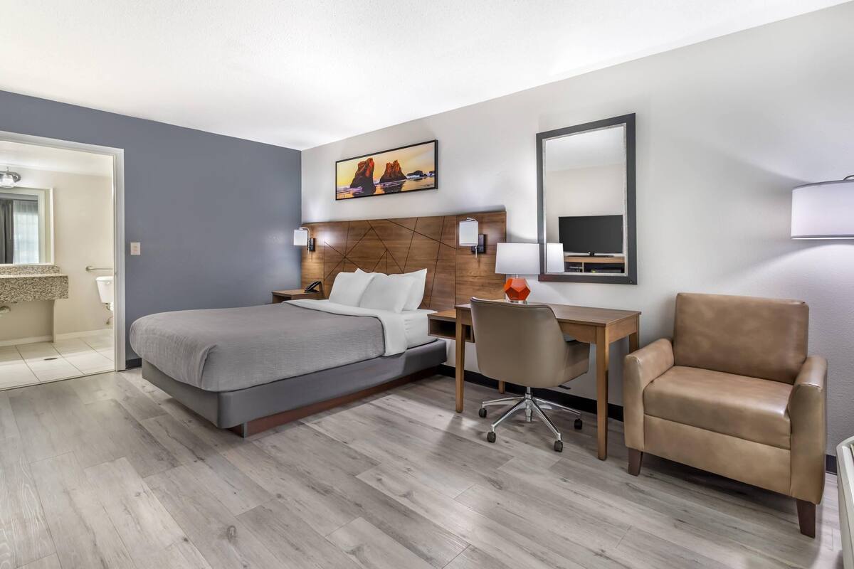 Une chambre d’hôtel avec un lit, un bureau, une chaise et un tableau au mur.