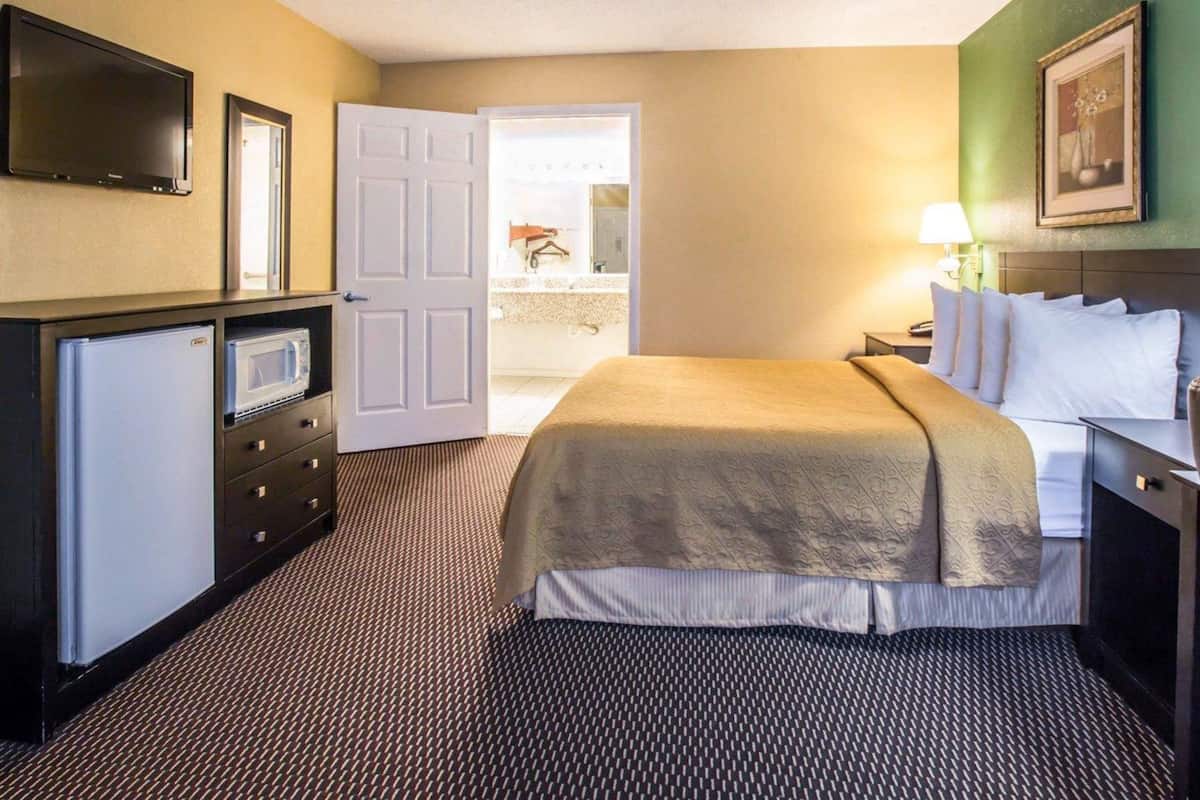 Room, 1 Queen Bed, Accessible, Non Smoking | Desk, iron/ironing board, rollaway beds, free WiFi