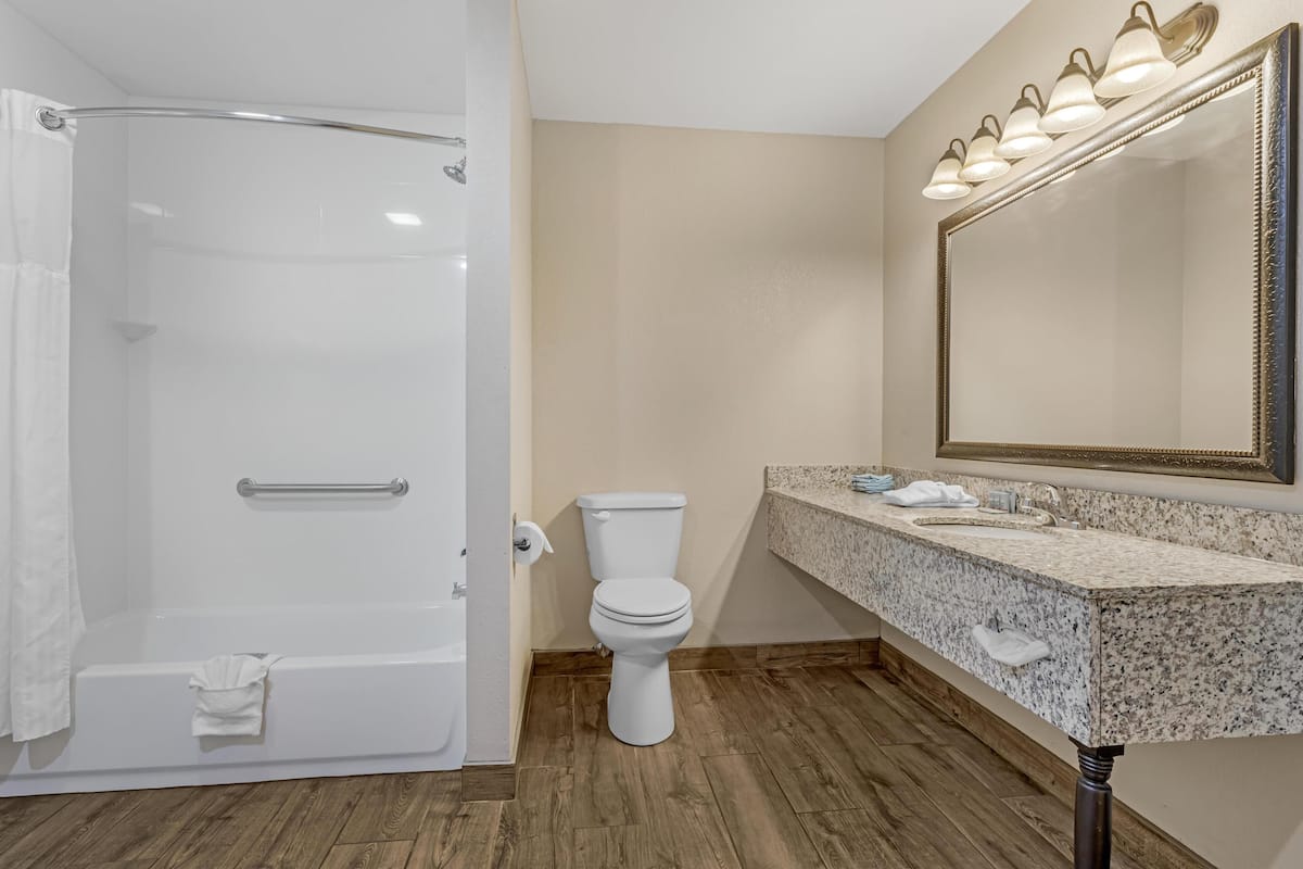 standard room, 1 king bed, non smoking, jetted tub (oversized room;with sofabed) | bathroom | free toiletries, hair dryer, towels