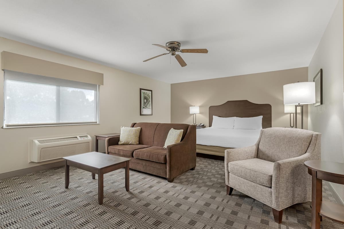 A hotel room with a bed, a sofa, a chair, a table, a ceiling fan, and a window.