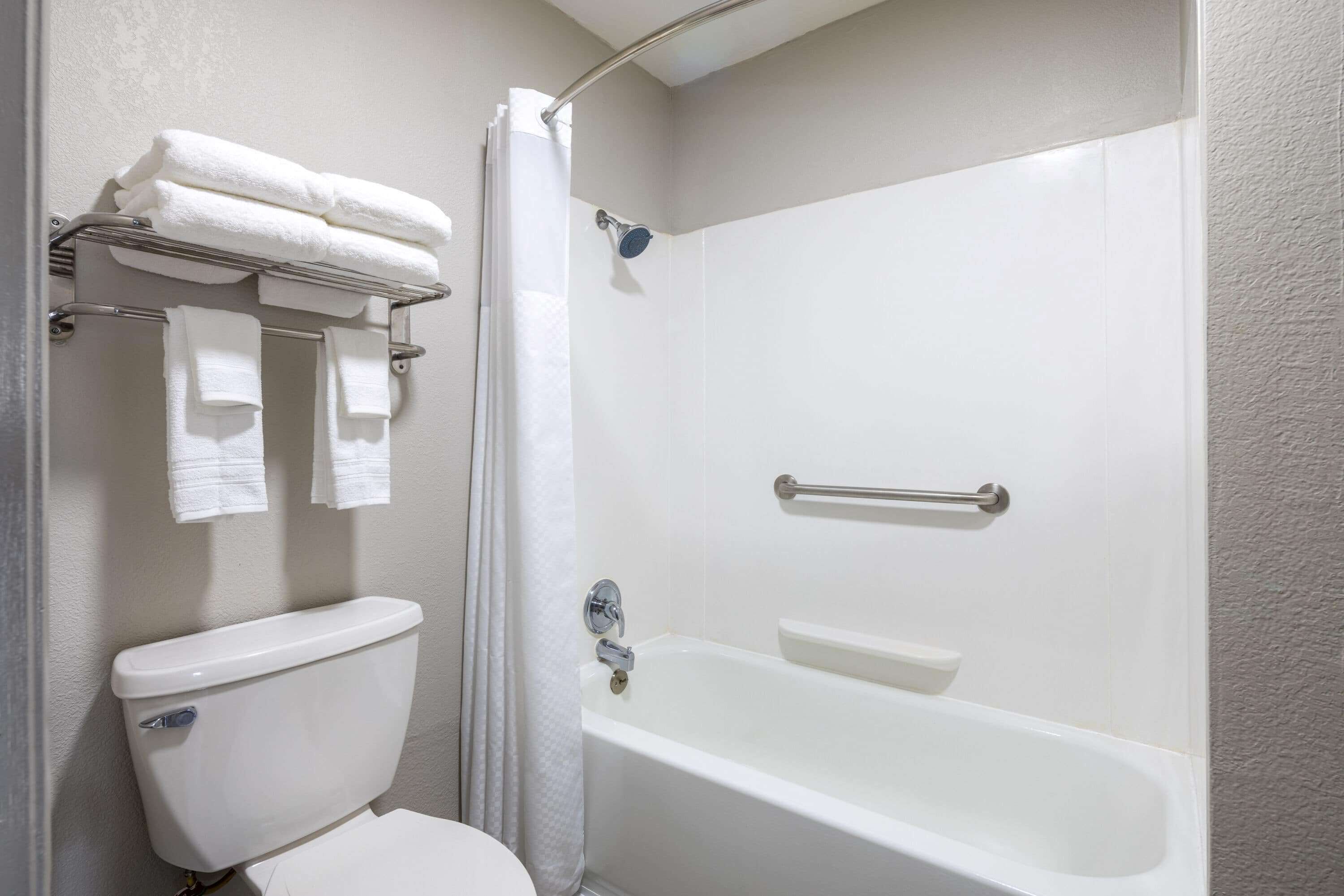 A bathroom with a toilet, a bathtub, and a shower curtain.