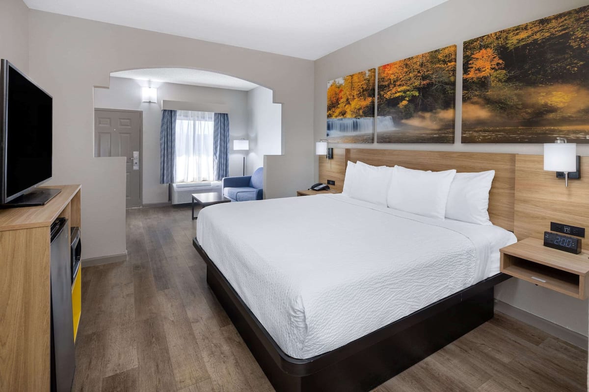 A hotel room with a large bed, a TV, a desk, and a painting of a waterfall.