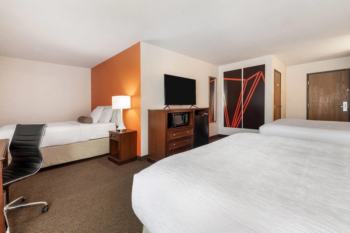 Studio Suite, Multiple Beds, Non Smoking