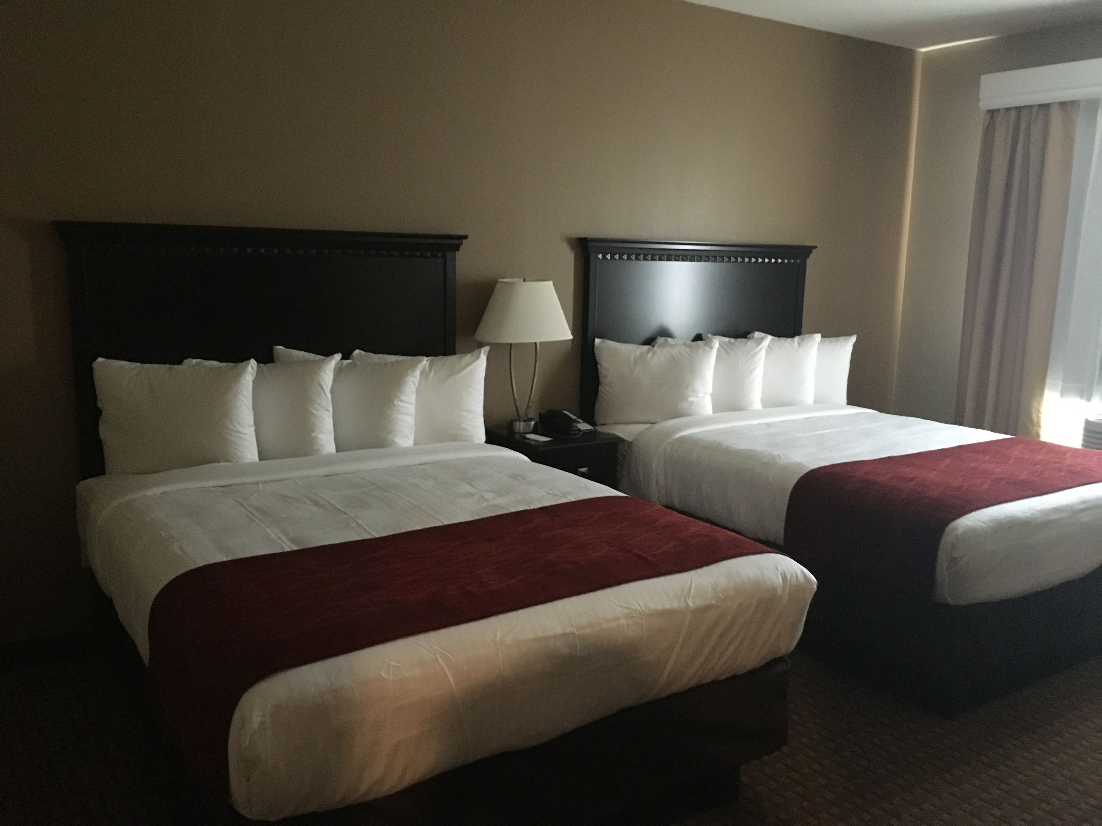 Habitación de hotel con dos camas, cada una con ropa de cama blanca y un detalle rojo. Entre las camas hay una mesita de noche con una lámpara.