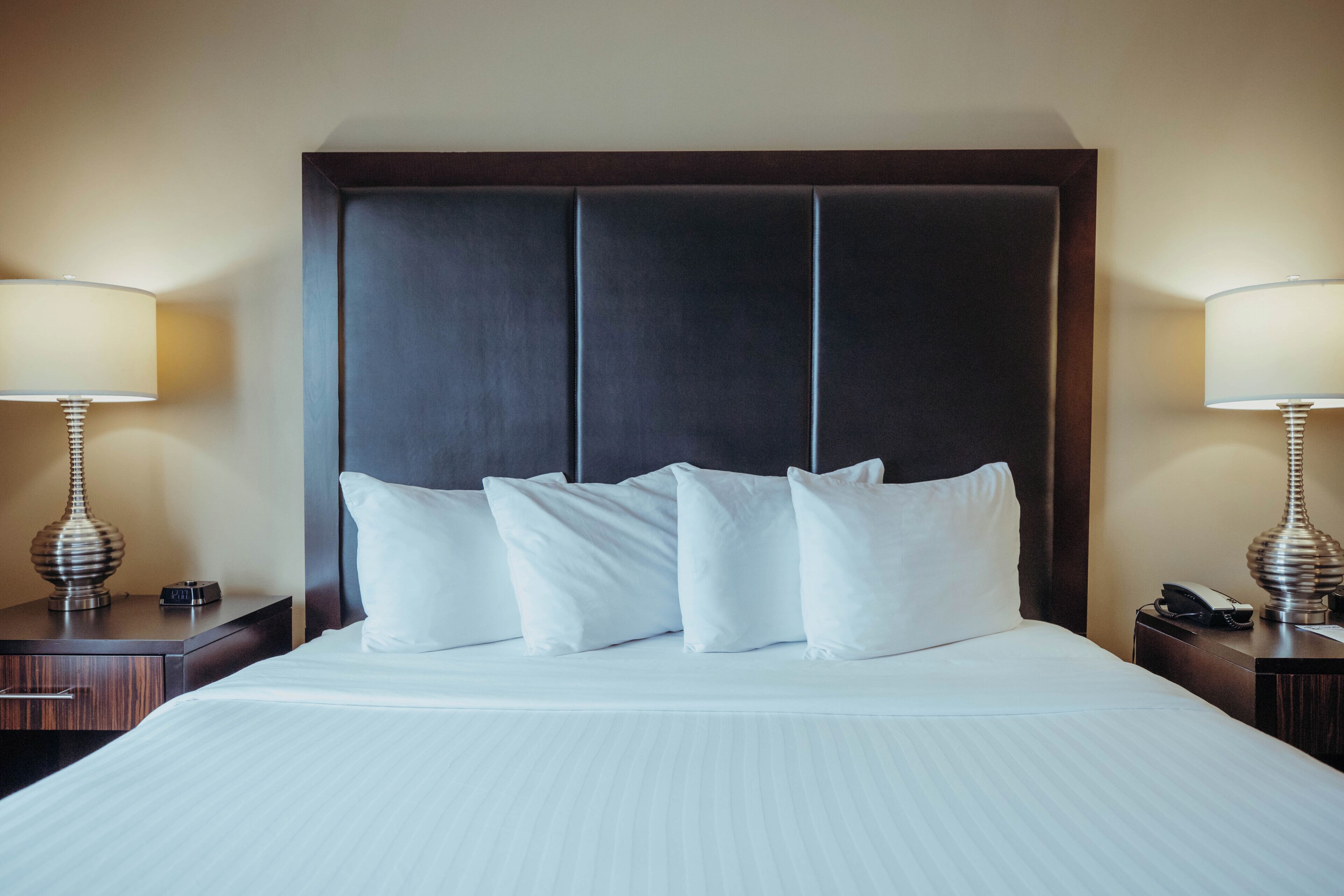 Executive Single Room, 1 Katil Raja (King) dengan Katil Sofa | Meja, ruang kerja komputer riba, langsir/tirai gelap terus 