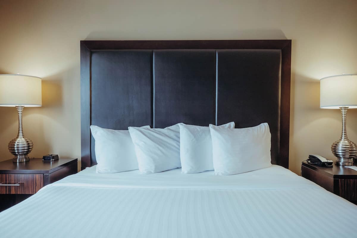 Executive Single Room, 1 Katil Raja (King) dengan Katil Sofa | Meja, ruang kerja komputer riba, langsir/tirai gelap terus