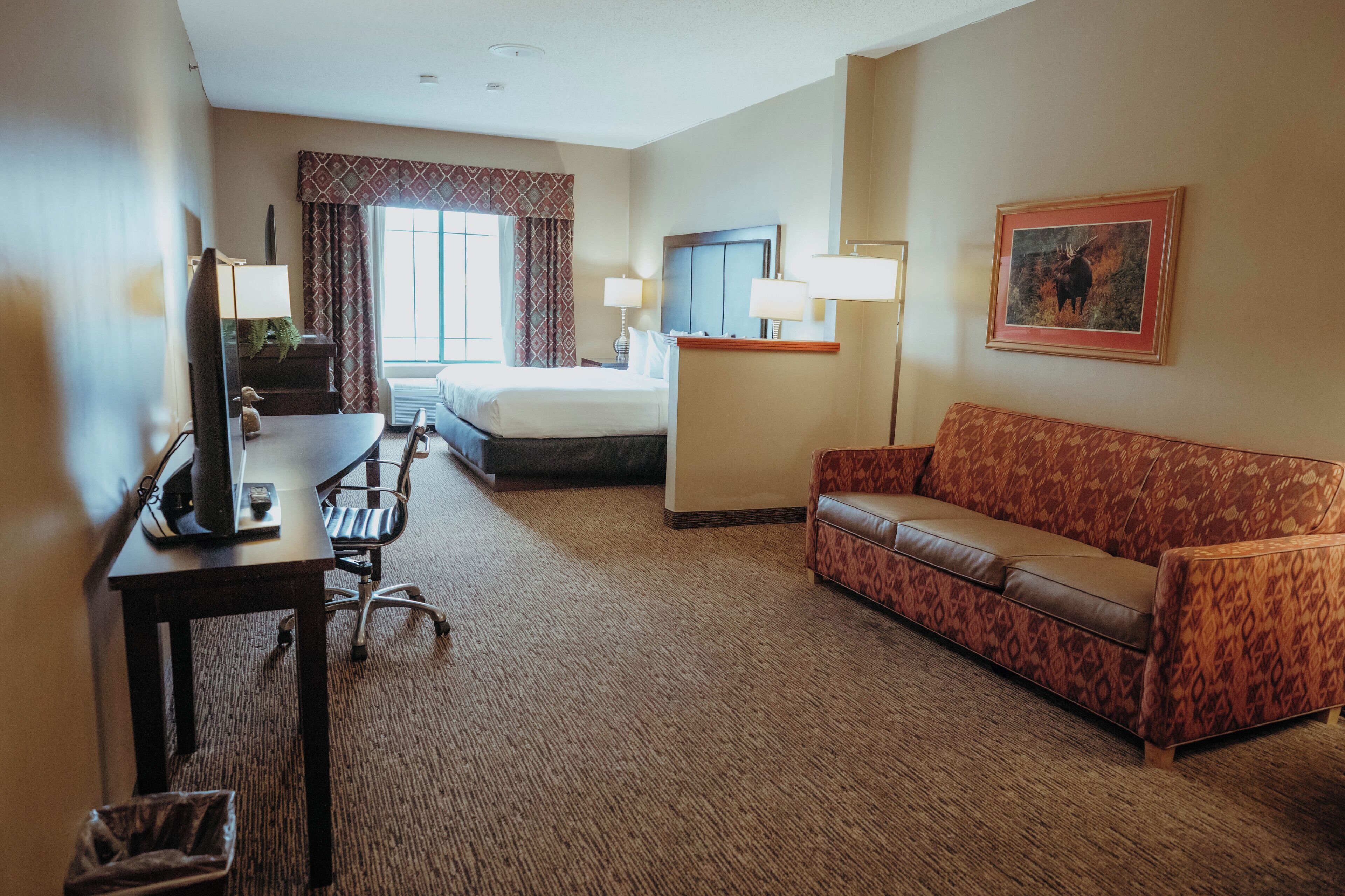 A hotel room with a bed, a desk with a computer, a sofa, and a TV.