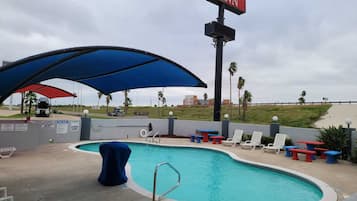 Outdoor pool, pool loungers