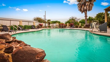Una piscina con sillas de descanso y una palmera.