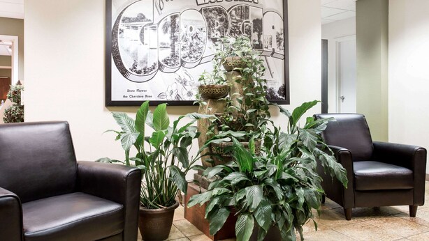 A lobby with two leather chairs, a large framed welcome sign, and several potted plants. - Super 8 by Wyndham Lavonia (Lavonia)