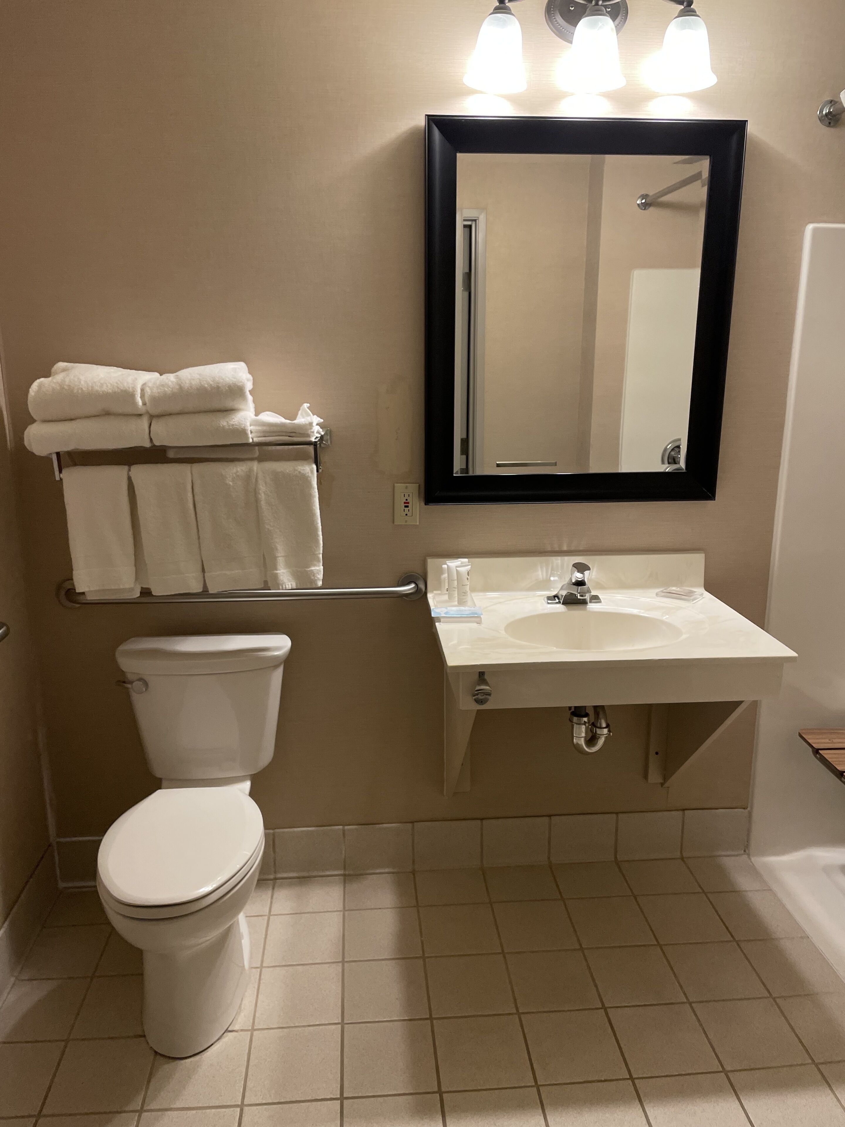 room, 1 king bed, accessible, non smoking (roll-in shower) | bathroom | hair dryer, towels