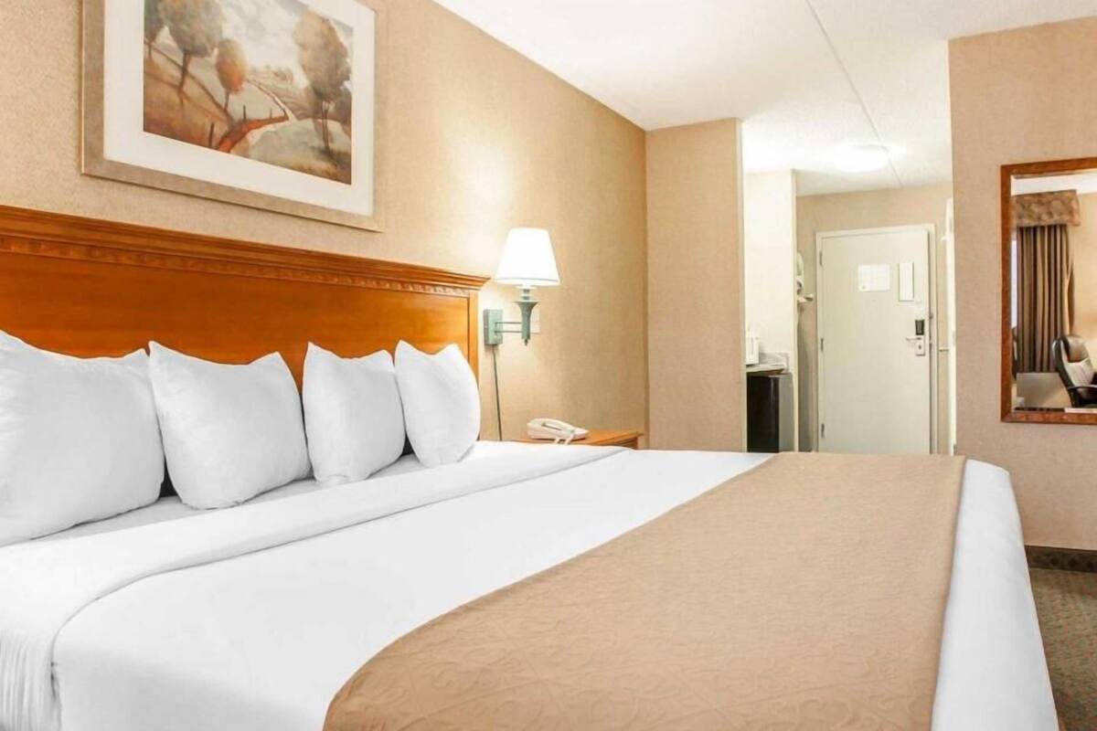 Una habitación de hotel con una cama grande, un cabecero, una mesita de noche con una lámpara, un cuadro en la pared y una puerta que da a otra habitación.