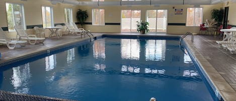 En inomhuspool med kristallklart blått vatten, omgiven av solstolar och krukväxter.