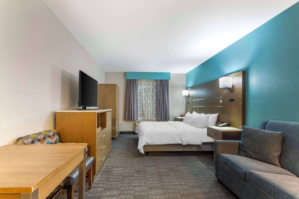 A hotel room with a bed, a desk, a television, a sofa, and a nightstand.
