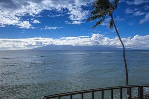 A view of the ocean with a palm tree and a clear sky. - Kahana Reef - Maui Condo & Home (Lahaina)
