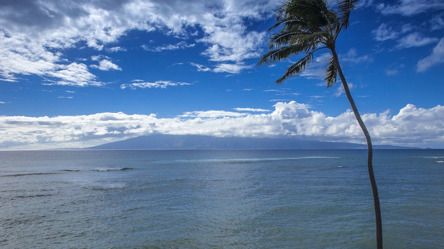 Kahana Reef - Maui Condo & Home