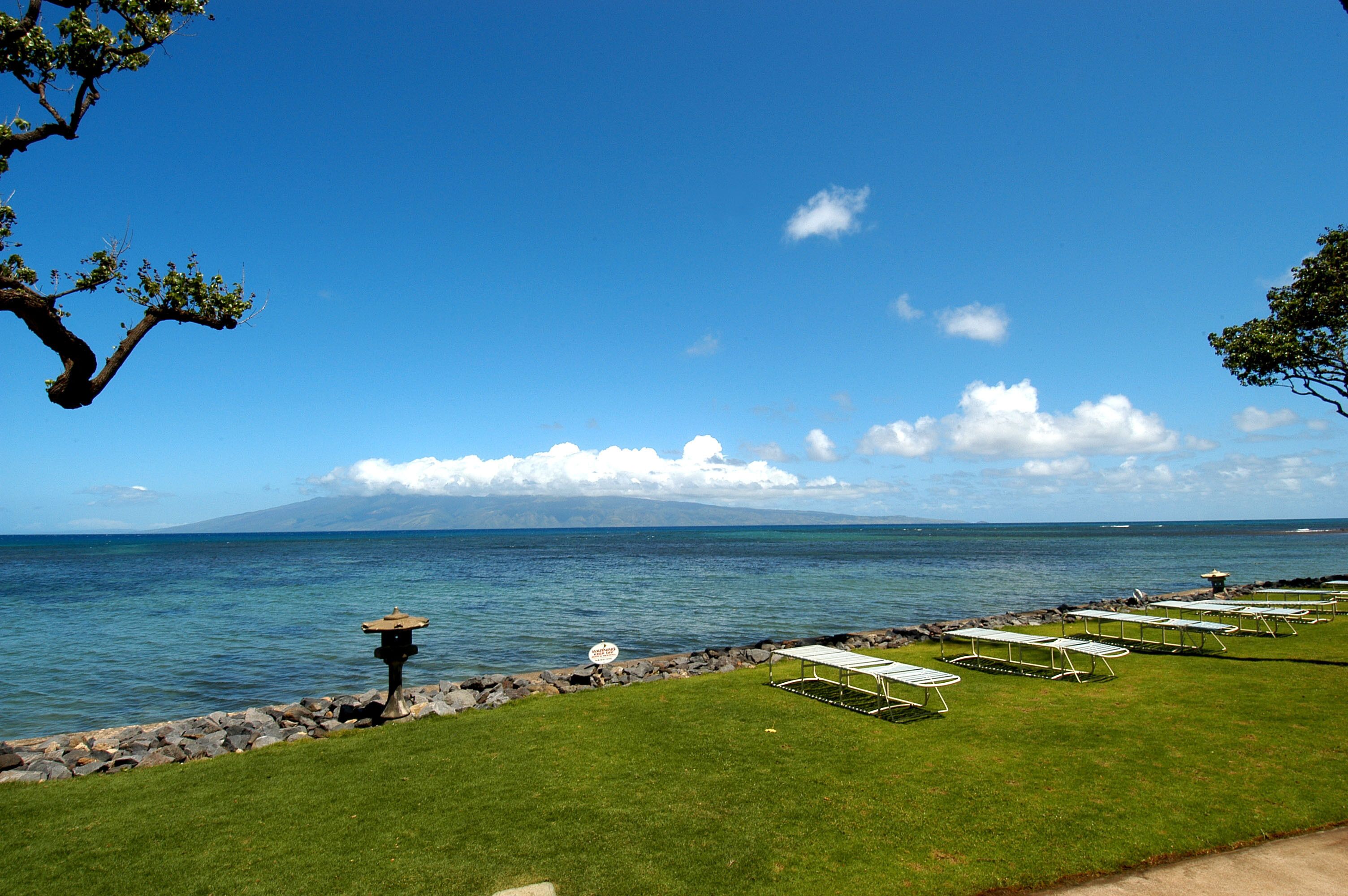 A coastal view with a grassy area, a stone wall, and a row of white lounge chairs facing the sea.