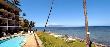 A hotel pool area with lounge chairs and palm trees, overlooking the ocean.