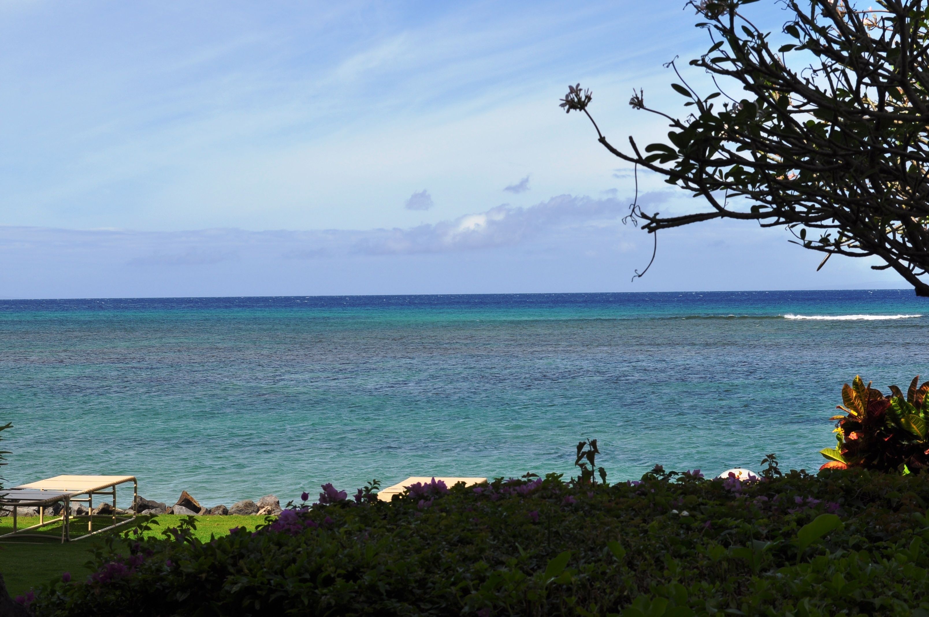 A view of a beach with a wooden bench and lush greenery in the foreground.