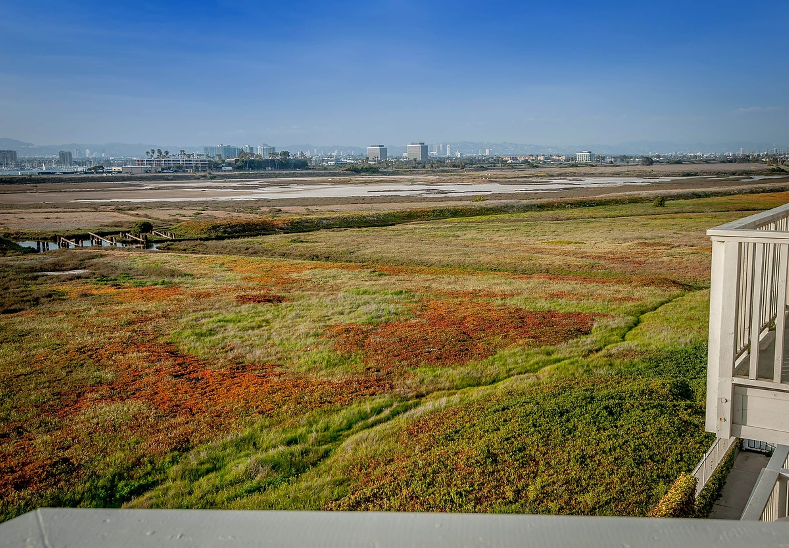 Photo - Inn at Playa del Rey