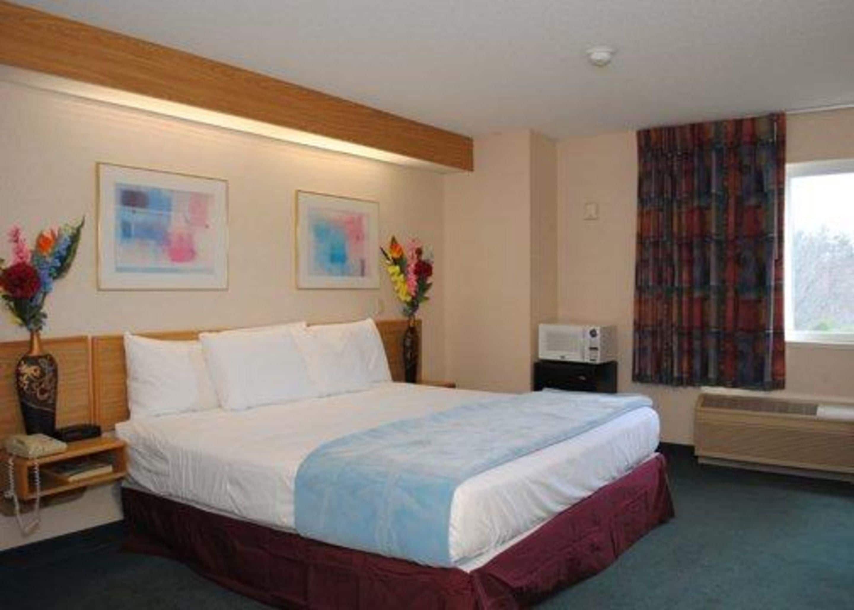 A hotel room with a large bed, a bedside table with a lamp, a window with curtains, and two framed artworks on the wall.