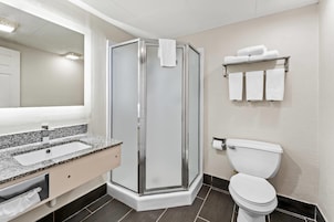 Suite, 1 cama de matrimonio grande, no fumadores (Efficiency) | Ropa de cama de alta calidad, escritorio, cortinas opacas